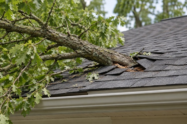 A fallen tree limb that went through the roof