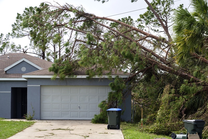A tree is on top of a roof after being knocked over in a storm, causing damage to the house and roof.